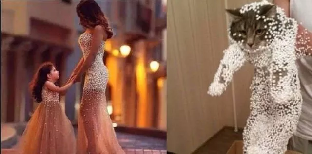 Des ressemblances frappantes entre celebrites - #25 