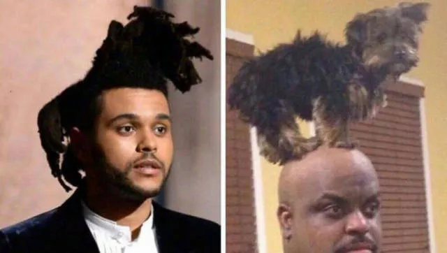 Striking similarities between celebrities - #6 