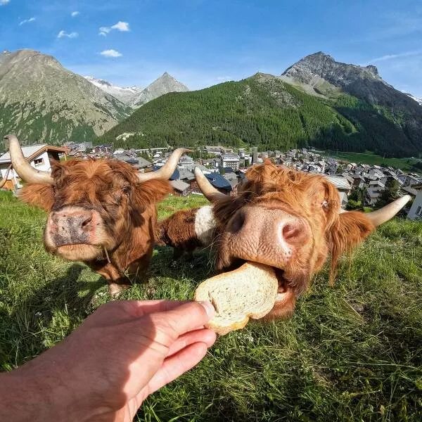 Picdump 817 - #21 