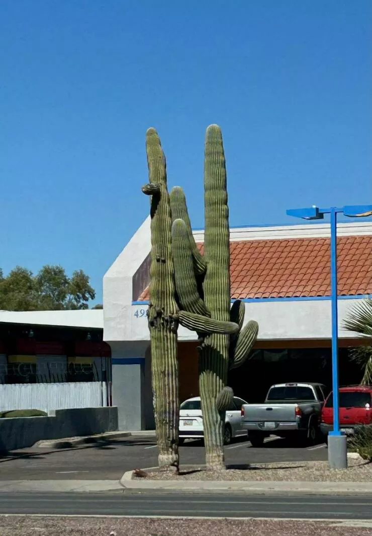 Picdump 817 - #37 