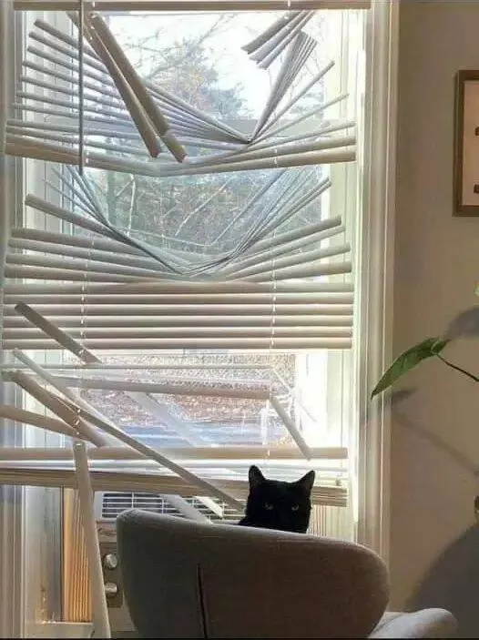Picdump 817 - #41 