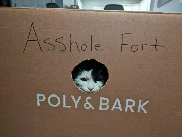 Picdump 817 - #49 
