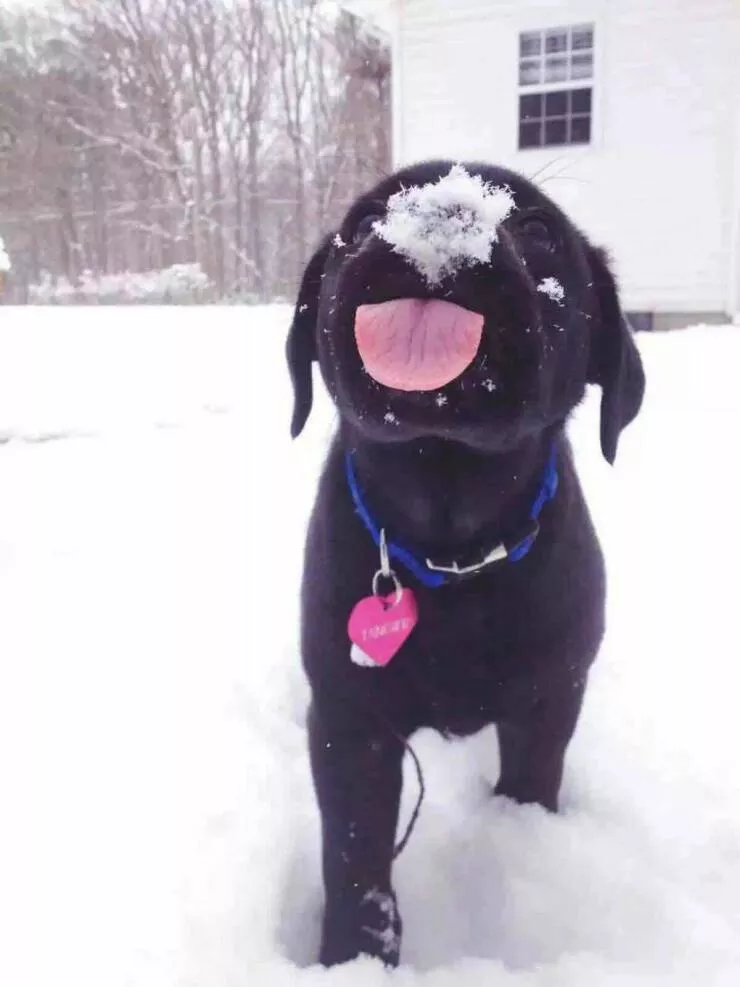 Picdump 817 - #50 