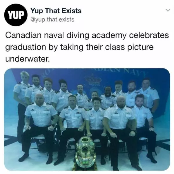 Realitys oddities unveiling unbelievable things that exist beyond imagination - #1 
