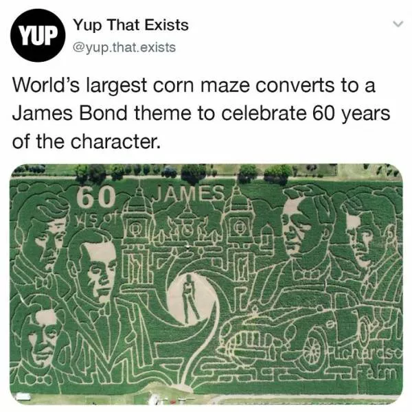 Realitys oddities unveiling unbelievable things that exist beyond imagination - #20 