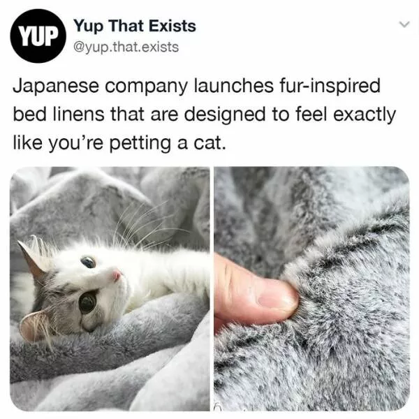 Realitys oddities unveiling unbelievable things that exist beyond imagination - #29 