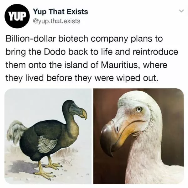 Realitys oddities unveiling unbelievable things that exist beyond imagination - #30 