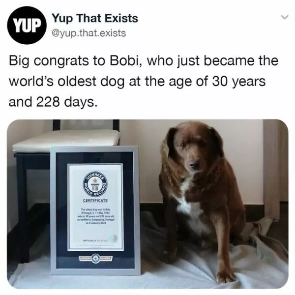 Realitys oddities unveiling unbelievable things that exist beyond imagination - #38 