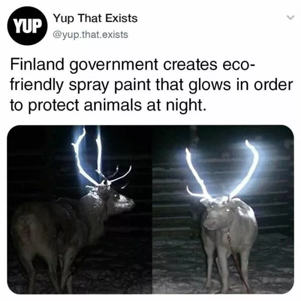 Realitys oddities unveiling unbelievable things that exist beyond imagination - #42 