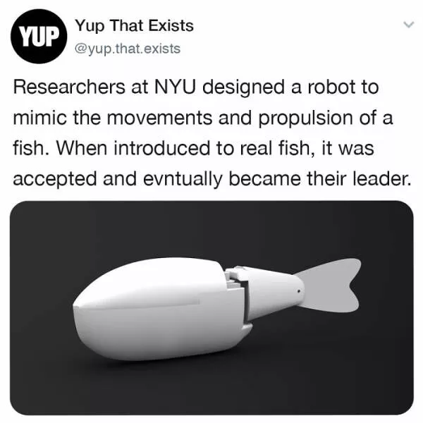 Realitys oddities unveiling unbelievable things that exist beyond imagination - #43 