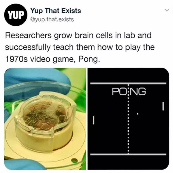 Realitys oddities unveiling unbelievable things that exist beyond imagination - #47 