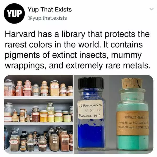 Realitys oddities unveiling unbelievable things that exist beyond imagination - #9 