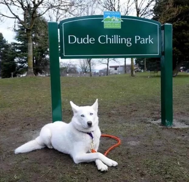 Picdump 819 - #17 