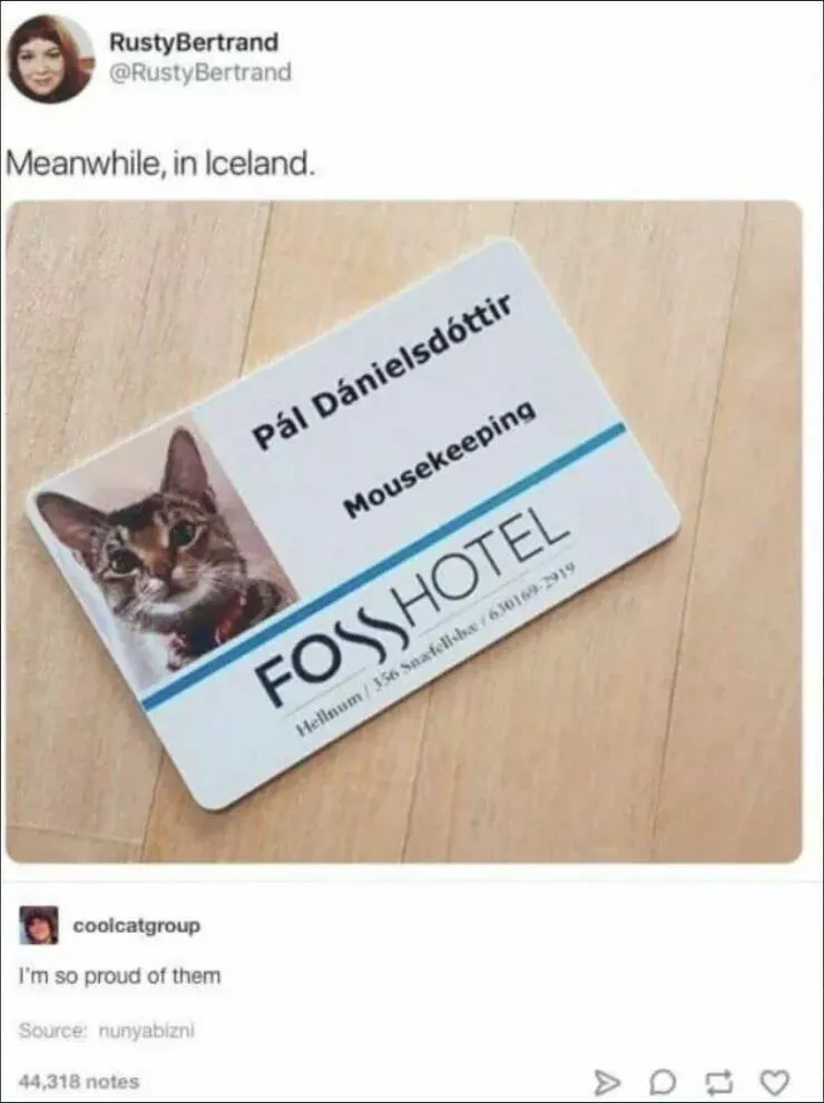 Picdump 819 - #25 