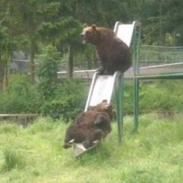 Picdump 819 - #56 