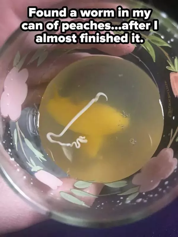 Lemonade chronicles stories of turning sour days into sweet victories - #14 