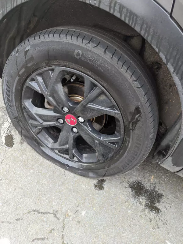 Lemonade chronicles stories of turning sour days into sweet victories - #24 Despite driving an electric car, my tires were slashed, apparently for being a gas guzzler.
