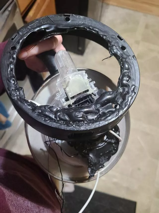 Lemonade chronicles stories of turning sour days into sweet victories - #33 My brother, acting as a cat sitter, attempted to boil water using an electric kettle.