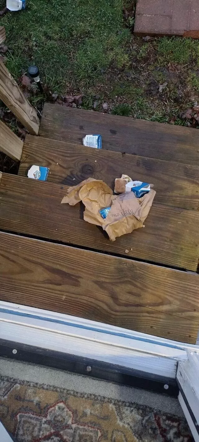 Lemonade chronicles stories of turning sour days into sweet victories - #35 A stray dog managed to devour my food before I could make it to the door.
