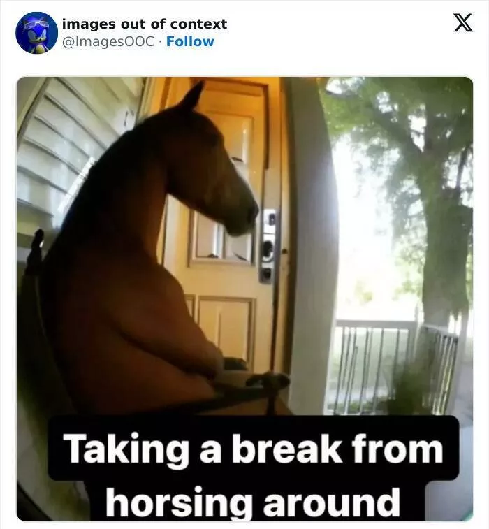 Rires dechaines moments hilarants de images hors contexte - #34 