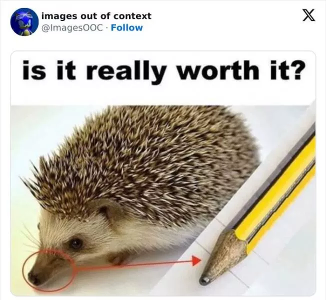 Laugh unleashed hilarious highlights from images out of context - #35 
