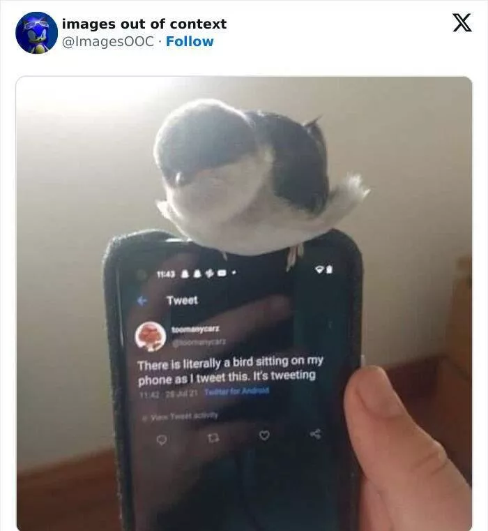 Rires dechaines moments hilarants de images hors contexte - #6 
