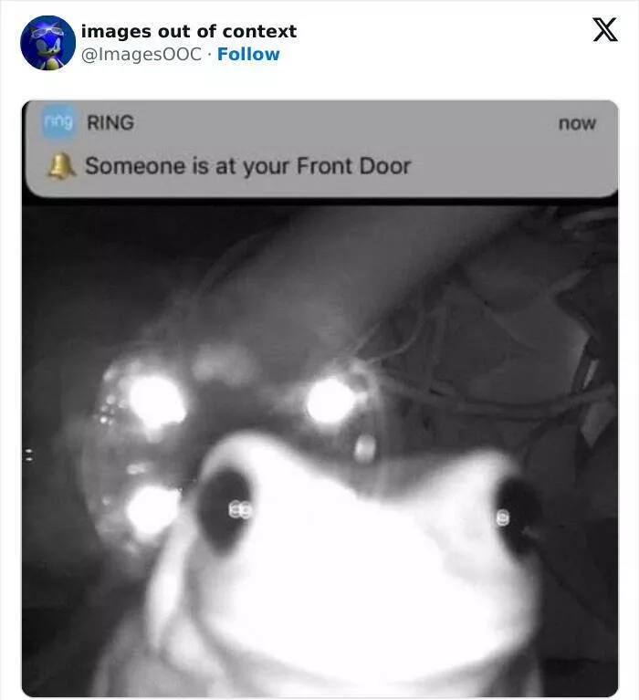 Rires dechaines moments hilarants de images hors contexte - #7 