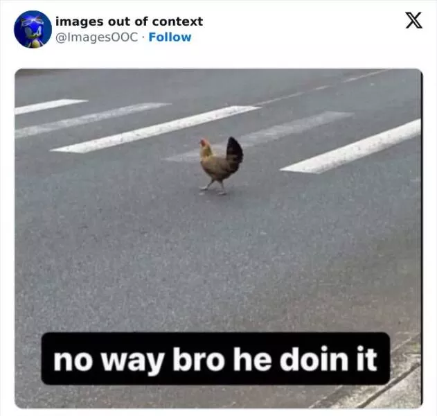 Laugh unleashed hilarious highlights from images out of context - #9 