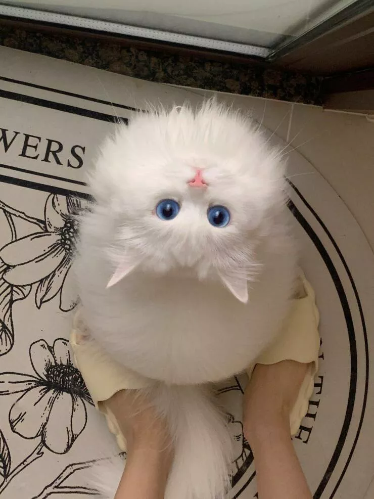 Picdump 820 - #41 