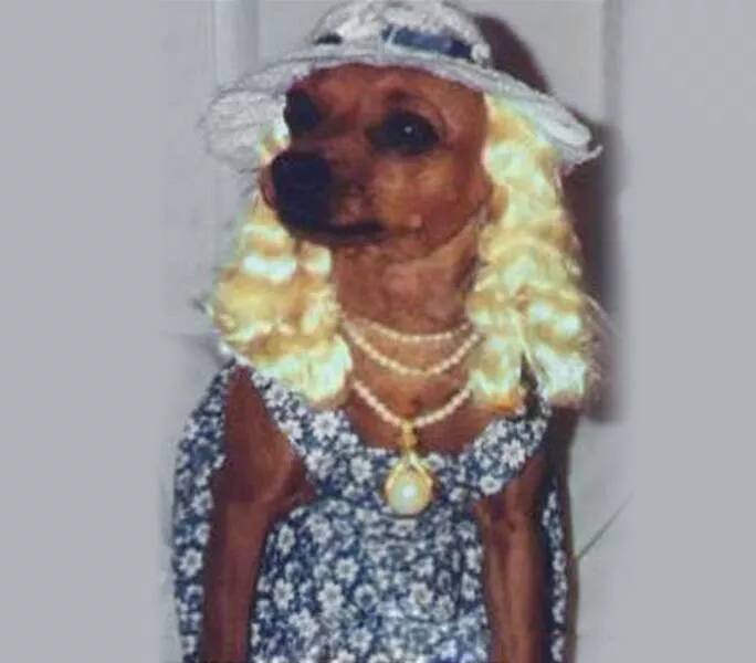 Picdump 820 - #50 
