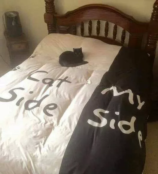 Picdump 820 - #8 