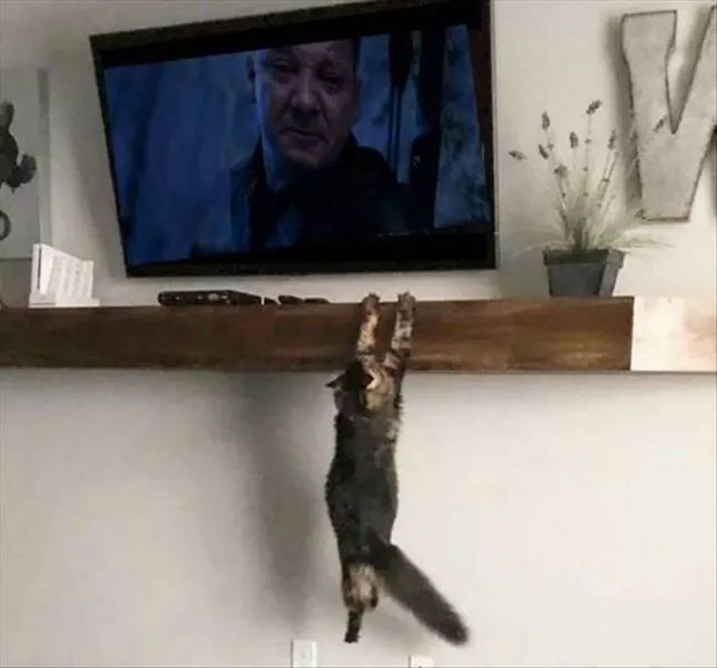 Picdump 821 - #30 