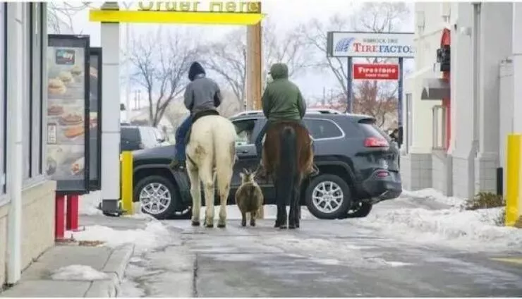 Picdump 822 - #11 