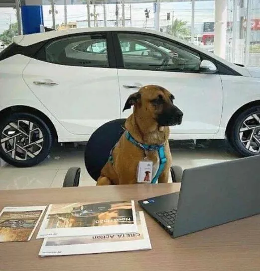 Picdump 822 - #18 