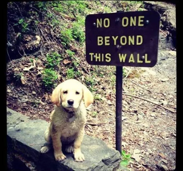 Each one have his point of view - #35 
