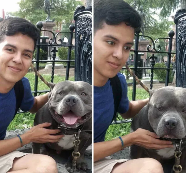 Unveiling impending turmoil photos capturing disaster on the horizon - #10 I asked if I could pet him. The answer was, sure, he's friendly. The dog starts growling in the second picture