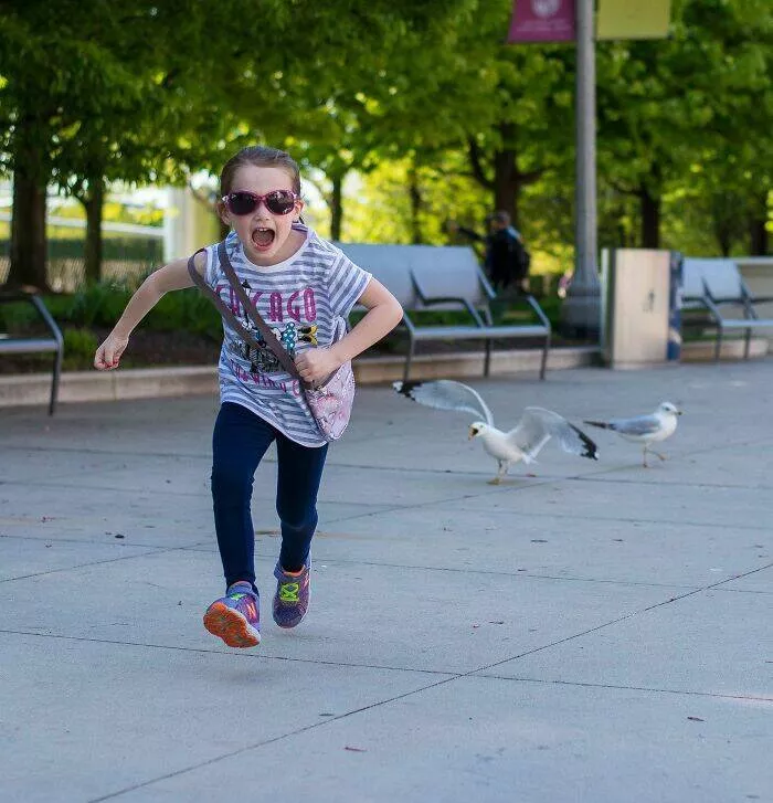 Unveiling impending turmoil photos capturing disaster on the horizon - #9 My niece likes to chase seagulls. The seagulls in Chicago chase back