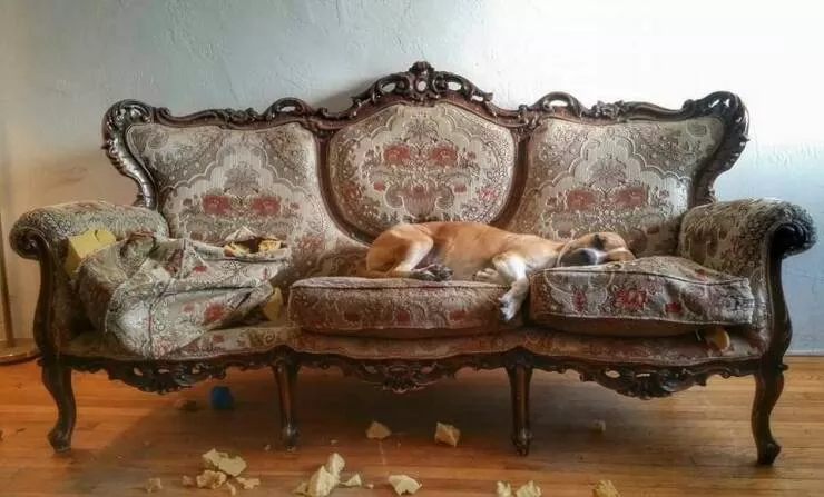 Picdump 823 - #18 