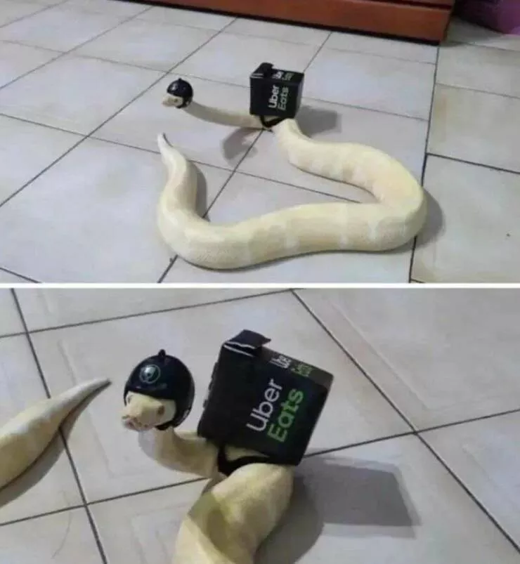 Picdump 823 - #9 