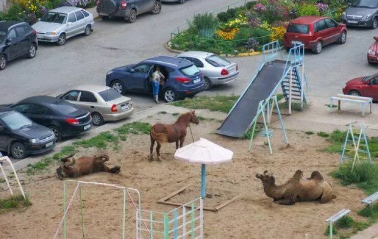 Picdump 824 - #19 