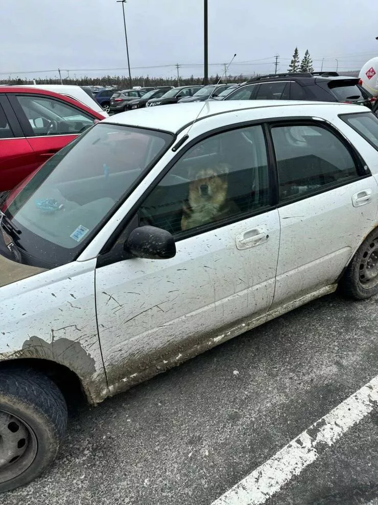 Picdump 825 - #18 