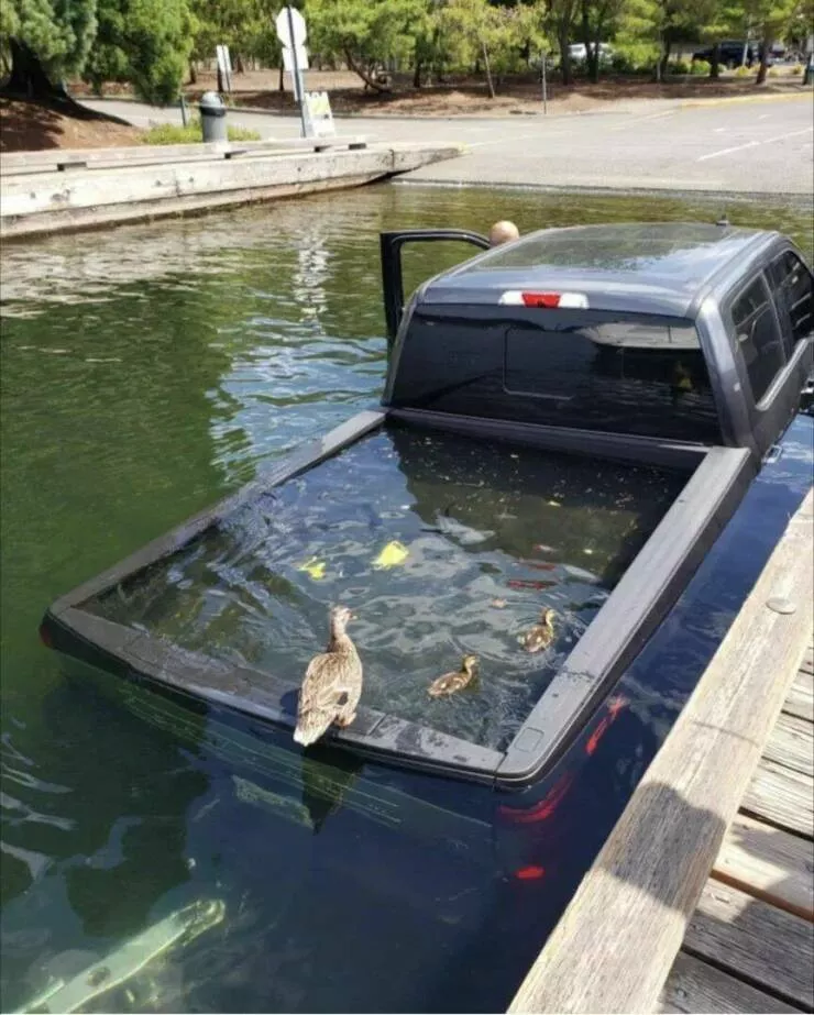 Picdump 825 - #26 
