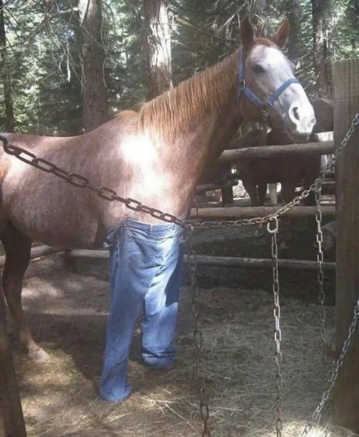 Picdump 825 - #34 