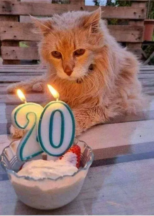 Picdump 825 - #41 