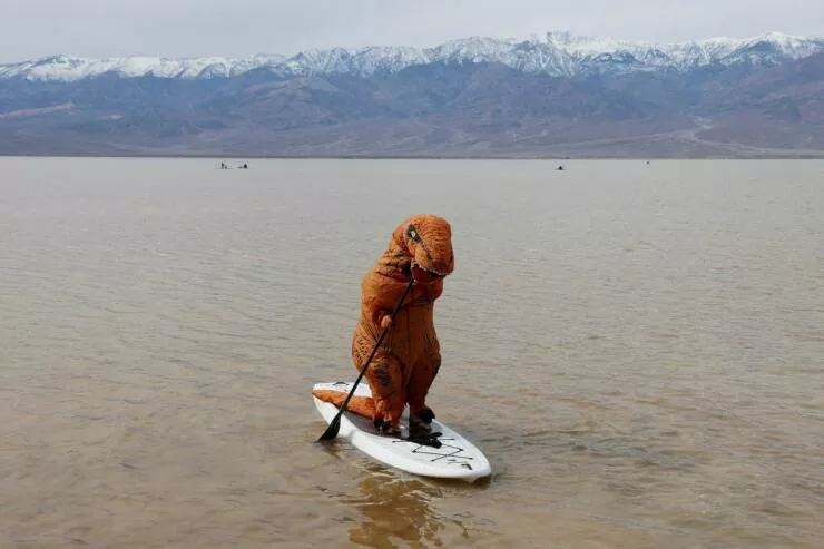 Picdump 826 - #22 