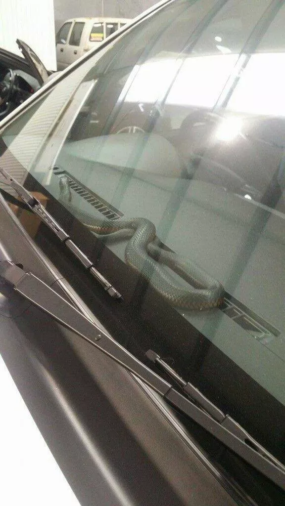 Picdump 826 - #31 