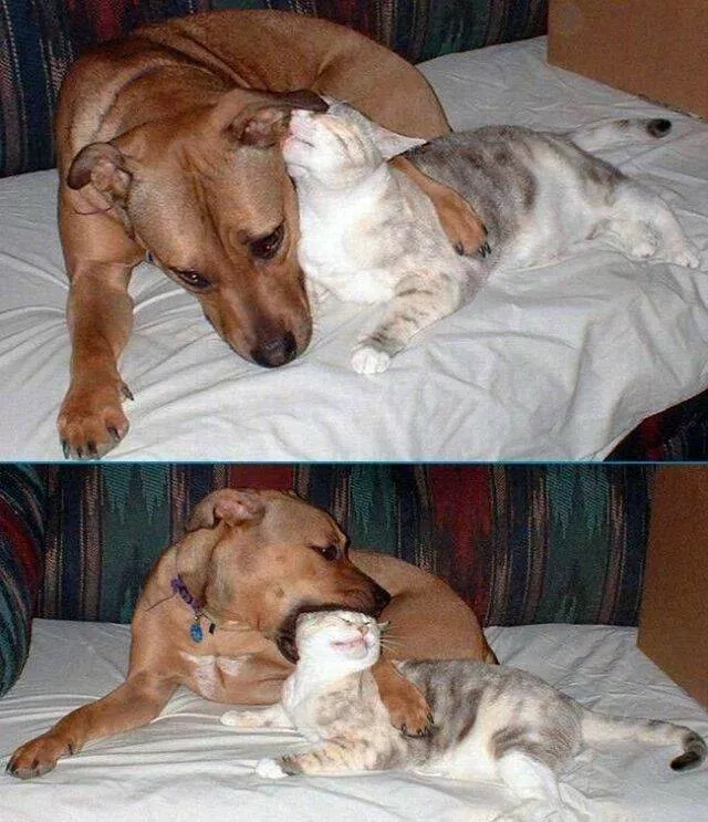 Picdump 826 - #50 