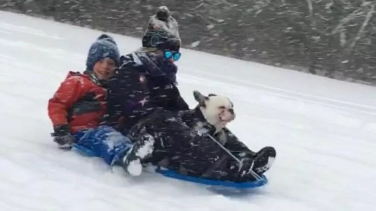 Picdump 826 - #55 