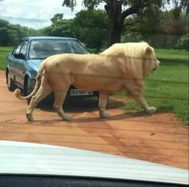 Picdump 826 - #58 