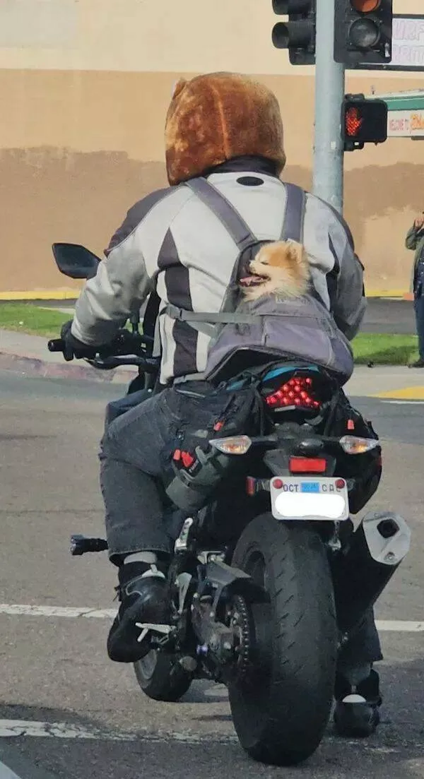Picdump 827 - #28 